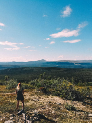 Katta Vedungen